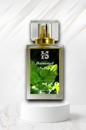 Rush Perfume
